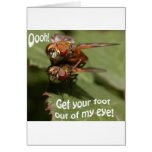 Fly Lurve Card
