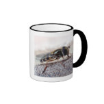 fly Macro Mug