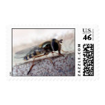 fly Macro postage