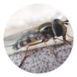 fly Macro stickers