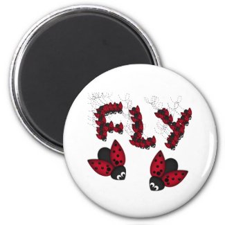 Fly magnet