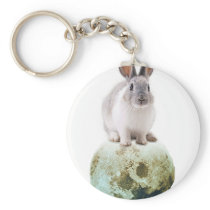 Fly me to the moon key chains