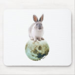 Fly me to the moon mouse pads