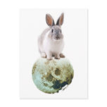 Fly me to the moon postcards