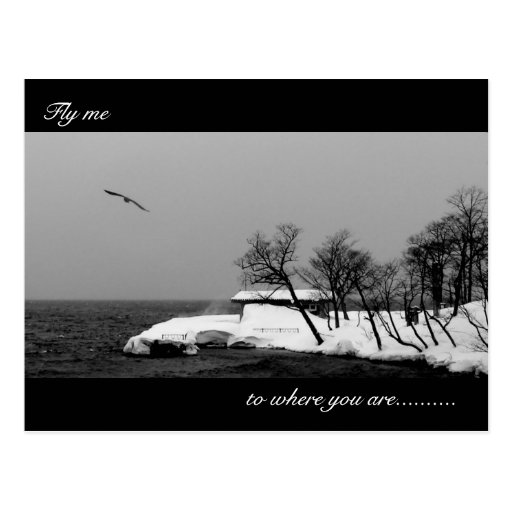 Fly me to where you are/ Missing You Postcard