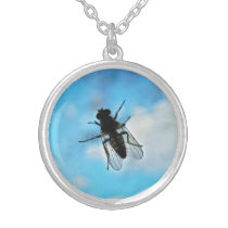 Fly