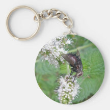 Fly on Mint (Tachinini  juriniopsis) Series Keychain