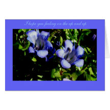 fly on the Gentian, I hope you feeling on the u... Greeting Cards