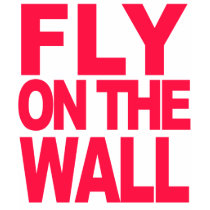 Fly on the Wall t-shirts by alwaysdazzle Fly on the Wall t-shirts