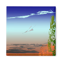 Fly Over Magnet