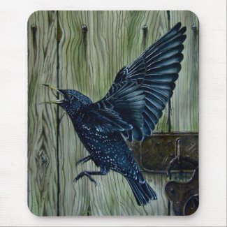 Fly Past Blackbird mousepad