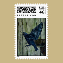 Fly Past Blackbird stamps