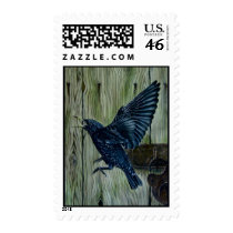 Fly Past Blackbird Postage Stamps
