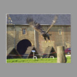Fly postcards