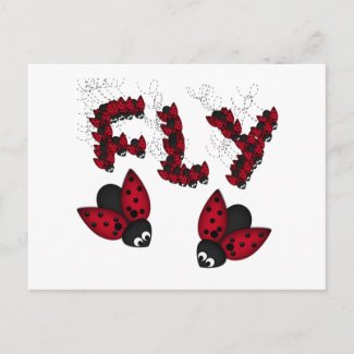 Fly postcard