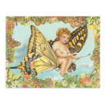 Fly Postcards
