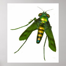 fly poster