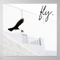 fly. posters