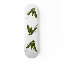 Fly Skate Boards