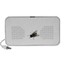 FLY speakers