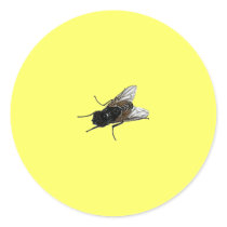 fly stickers
