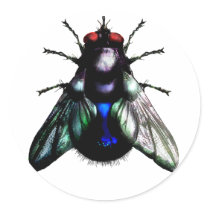 Fly sticker
