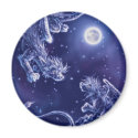 Fly to the Dream... magnets