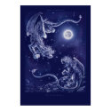 Fly to the Dream... posters