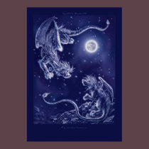 Fly to the Dream... posters