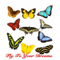 Fly to Your Dreams Butterflies t-shirts