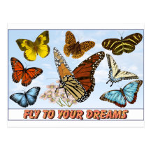 Fly To Your Dreams Postcards