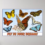 Fly To Your Dreams Print