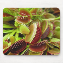 Fly Traps mousepads by mlane53 Fly Traps mousepads