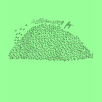 Fly t-shirts
