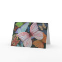 Fly With Me cards