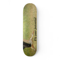 Fly your potential - stork skateboard