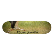 Fly your potential - stork skateboard