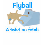 Flyball Twist Womens T Tshirt