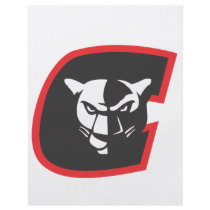 Flyer - Concordia Panthers