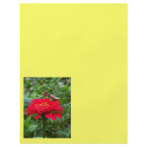 Flyer/Praying Mantis and Zinnia
