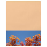 Flyers Designer Sheets Colorful Autumn Tree Leaves