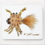 Flyfishing bait, tackle, lure,