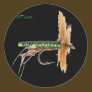 Flyfishing bait, tackle, lure,