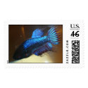 FlyGirl postage