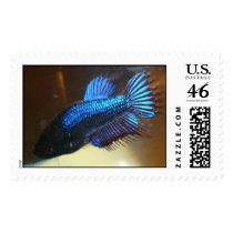 FlyGirl postage by picarddl FlyGirl postage