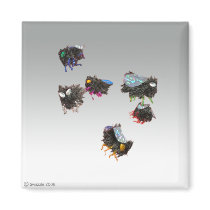 Flyguys Magnet