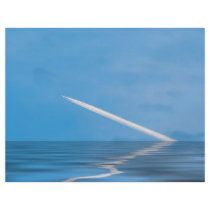 Flying airplane flyer