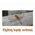 Flying back school t-shirts by ahandzlik Flying back school t-shirts