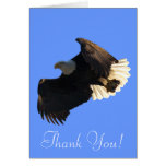 Flying Bald Eagle Free Spirit Thank You Cards