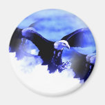 Flying Bald Eagle Fridge Magnets